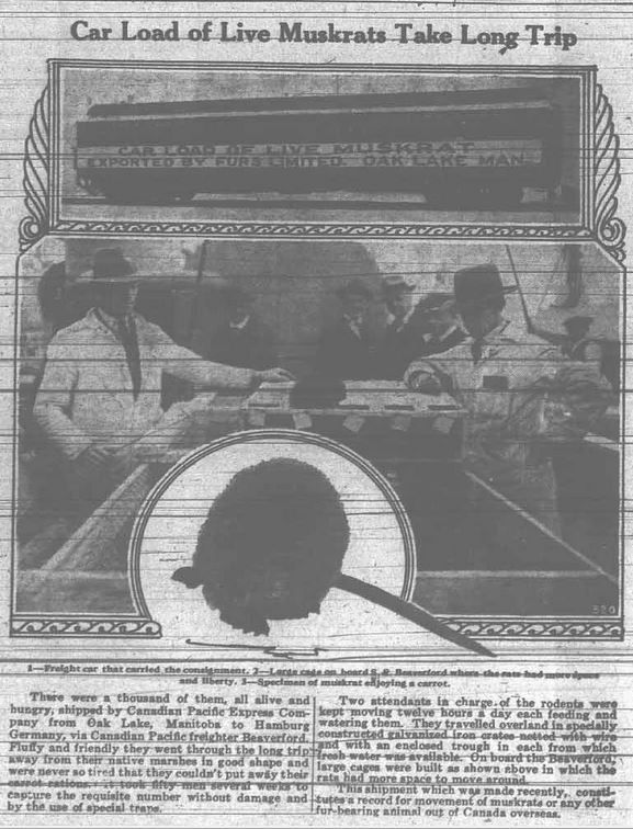 Grande Prairie Herald ~ September 13, 1929