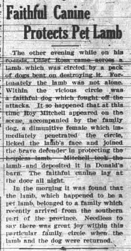 Grande Prairie Herald ~ August 28, 1931