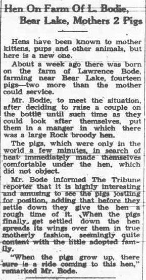 Northern Tribune ~ May 12, 1938