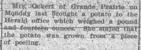 Grande Prairie Herald ~ 13 September 1929
