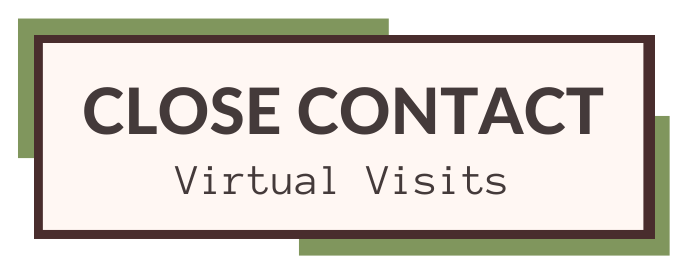 Close Contact: Virtual Visits